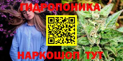 сатива Славгород