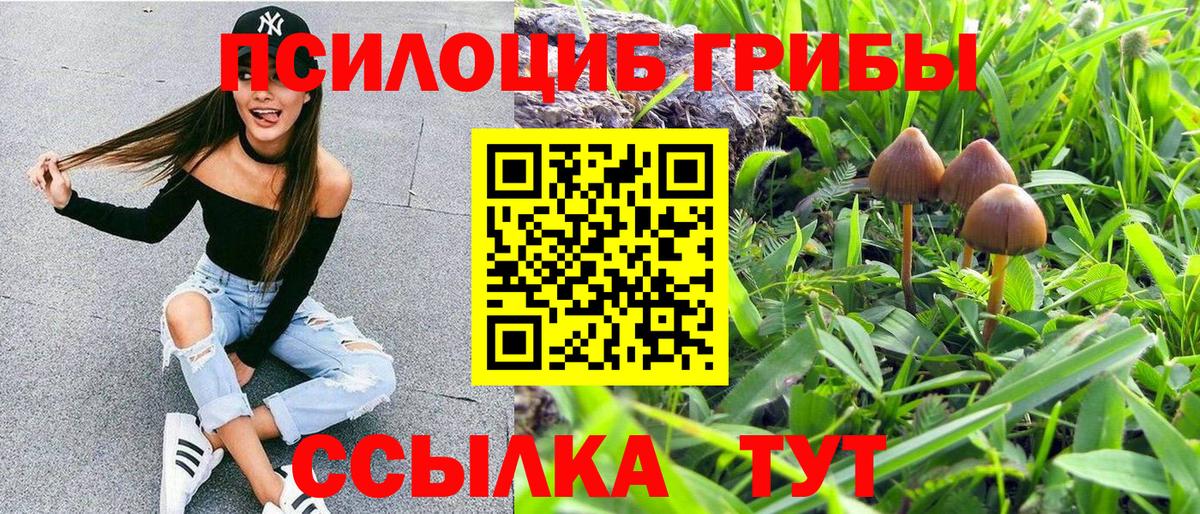 Псилоцибиновые грибы MAGIC MUSHROOMS  продажа наркотиков  Вход с VPN  Артёмовский  Псилоцибиновые грибы Cubensis 