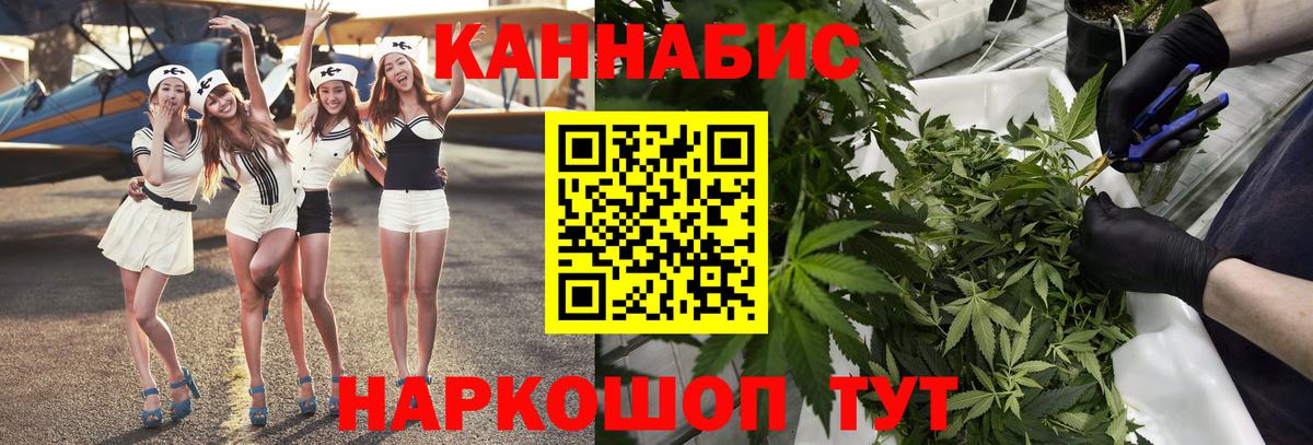 Каннабис конопля Артёмовский